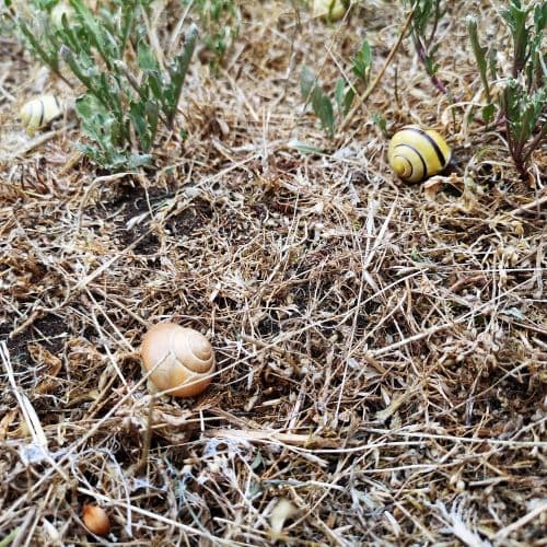 1-IMG_20200704_121102