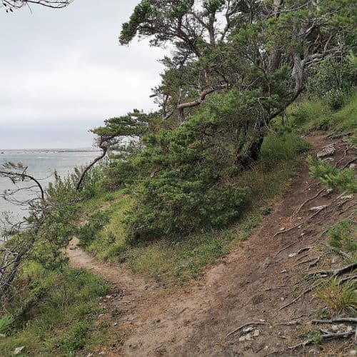 1-IMG_20200705_141947