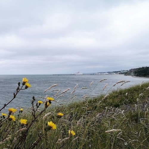 1-IMG_20200705_140756