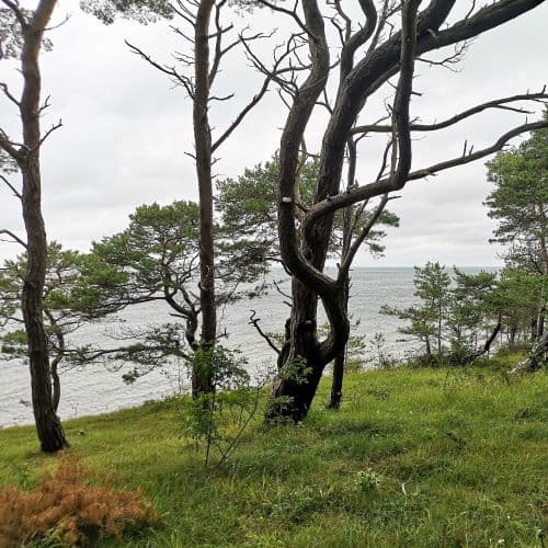 1-IMG_20200705_140042