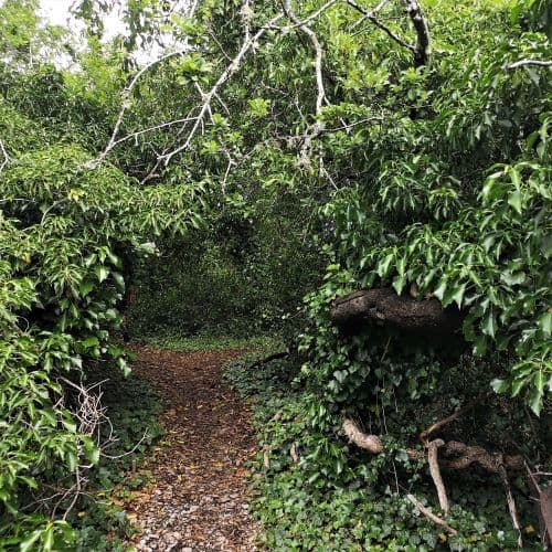 1-IMG_20200705_135711