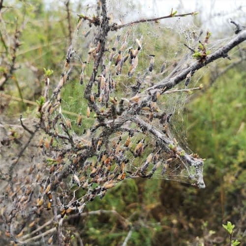 1-IMG_20200705_134514