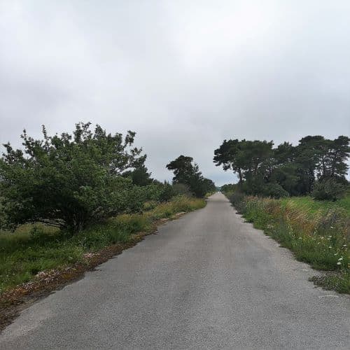 1-IMG_20200705_133958