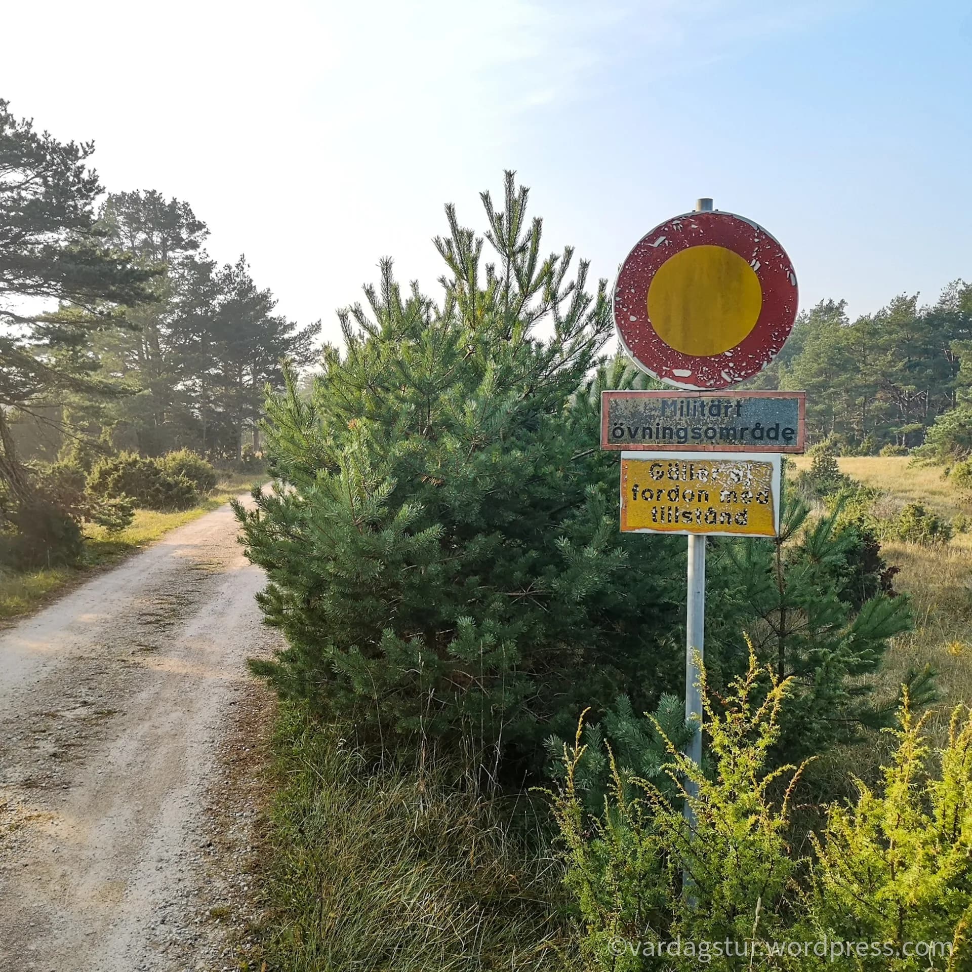 wp-16358517880954050600274129301343