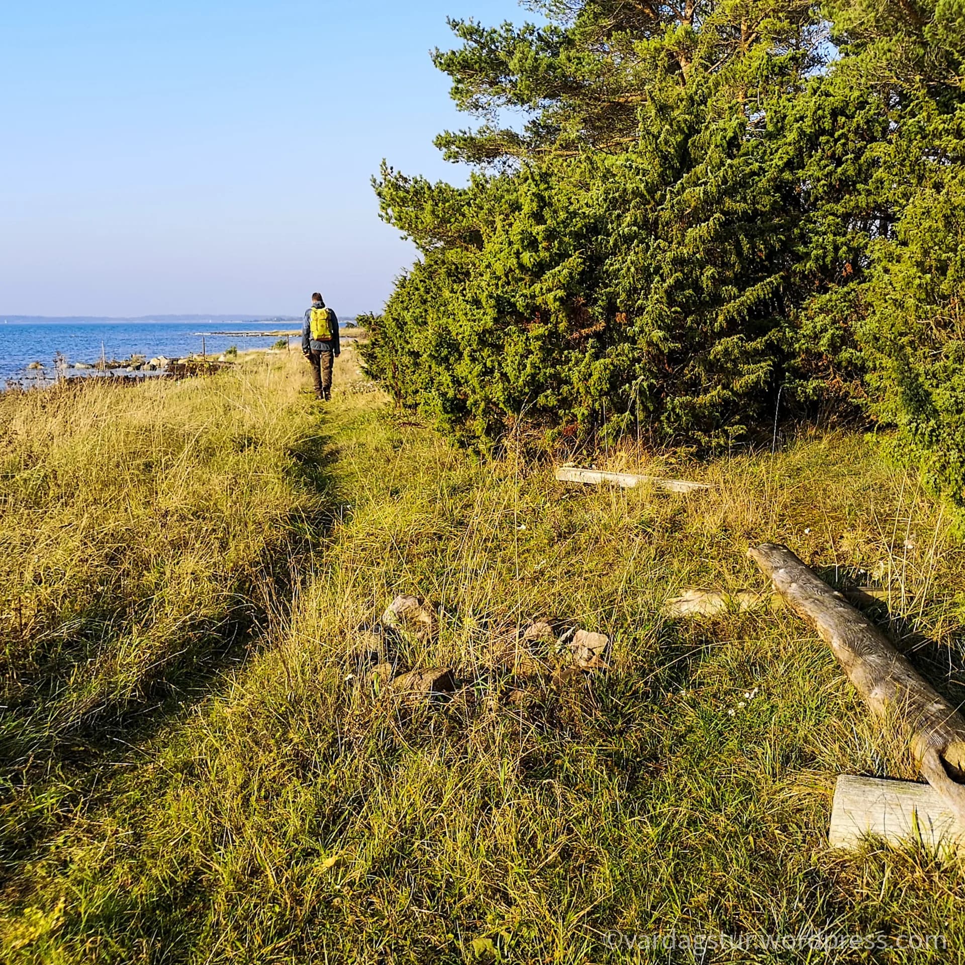 wp-16358517876474630845296597267790