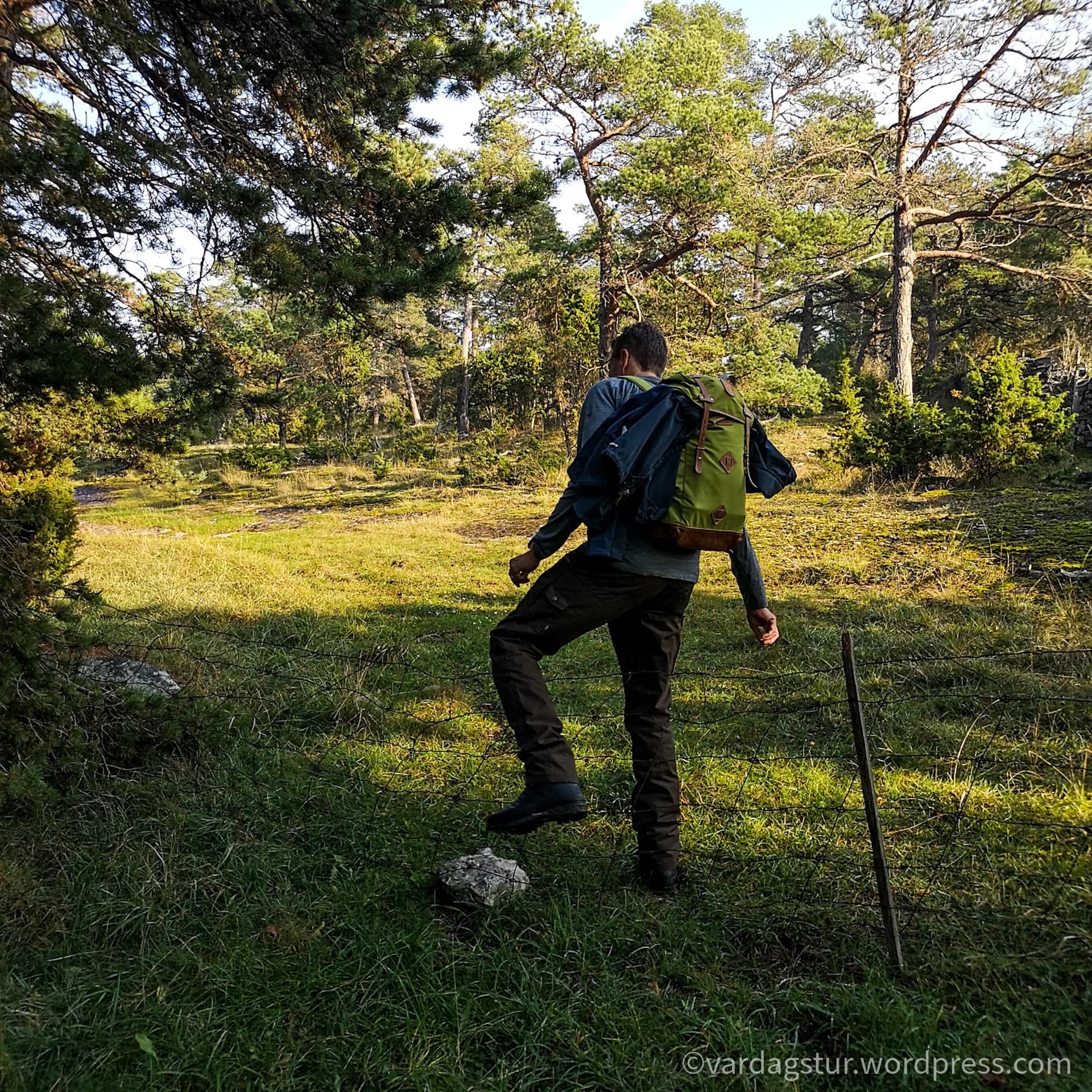 wp-16358517884394165017872282444853