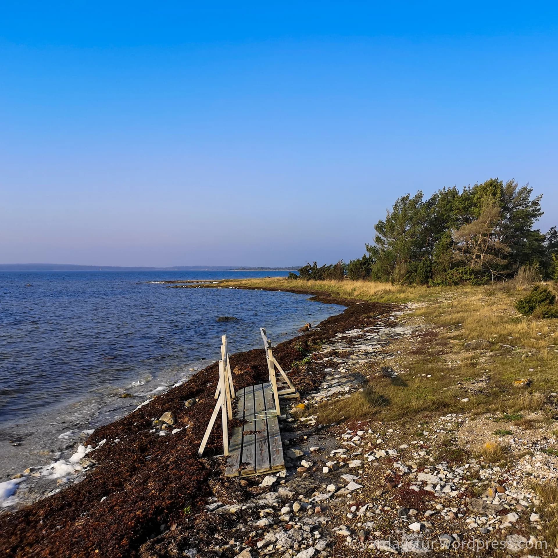 wp-16358517889164145814887997156903