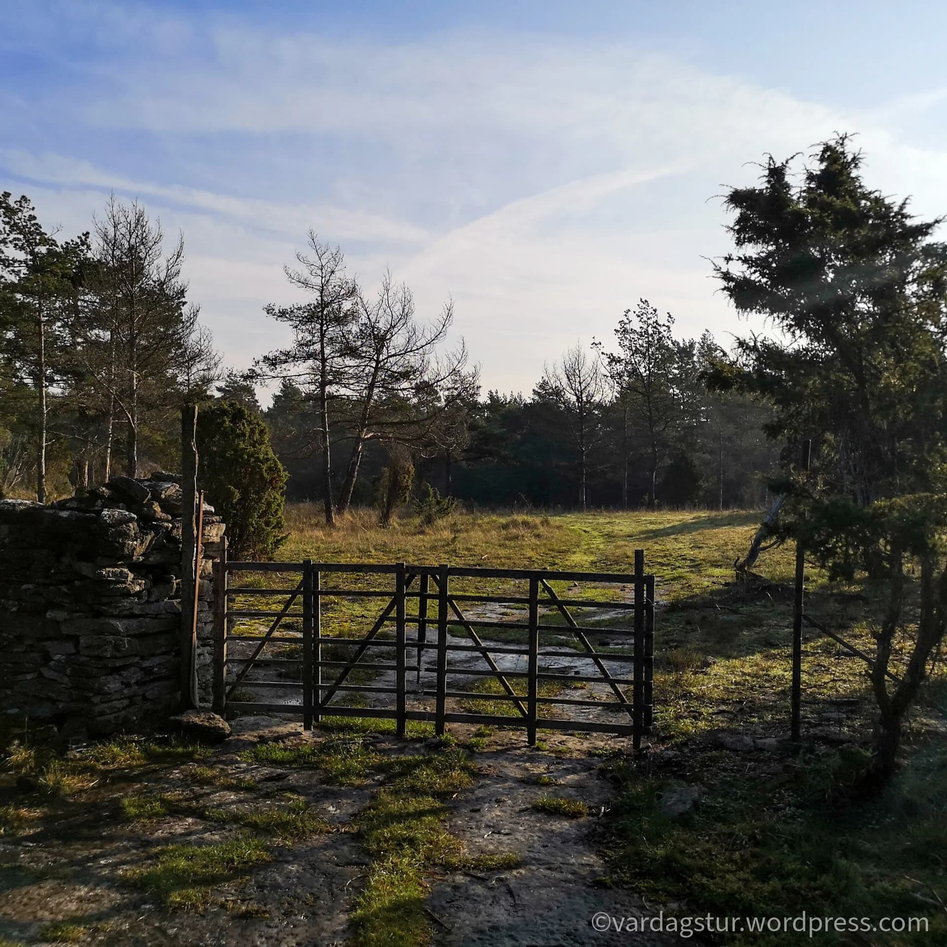 wp-16358517922562422284982199847024