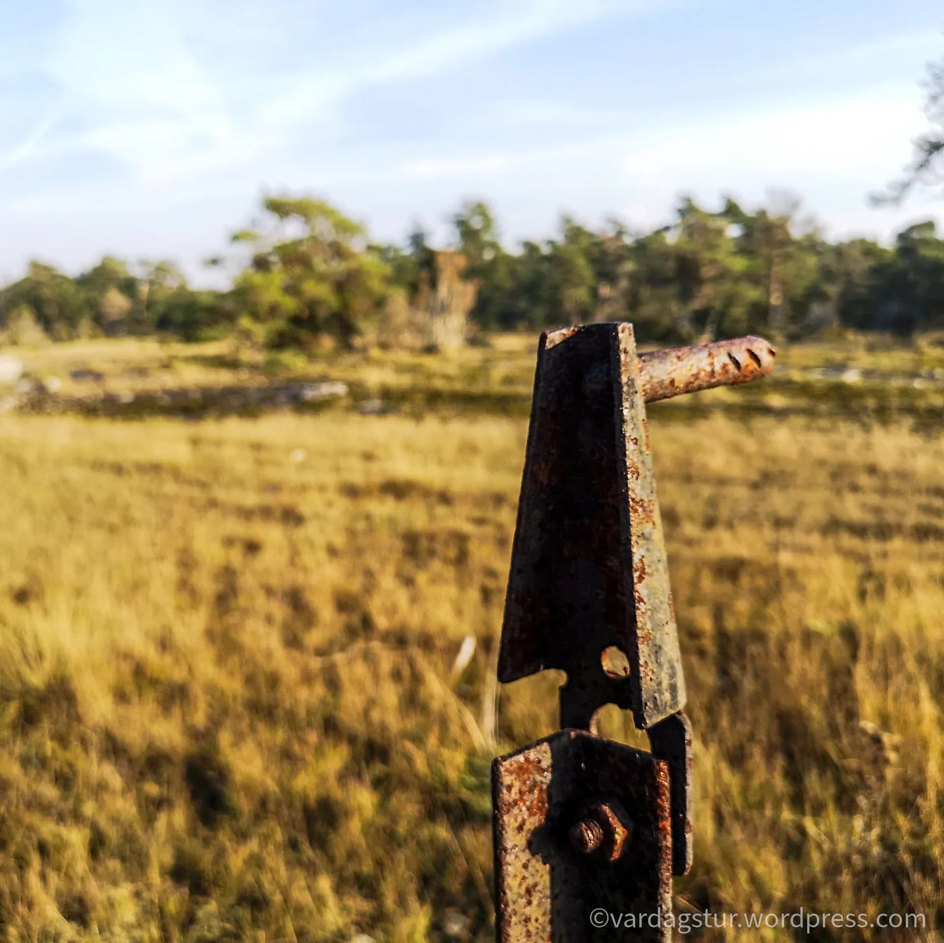 wp-16358517927124309224767903176130