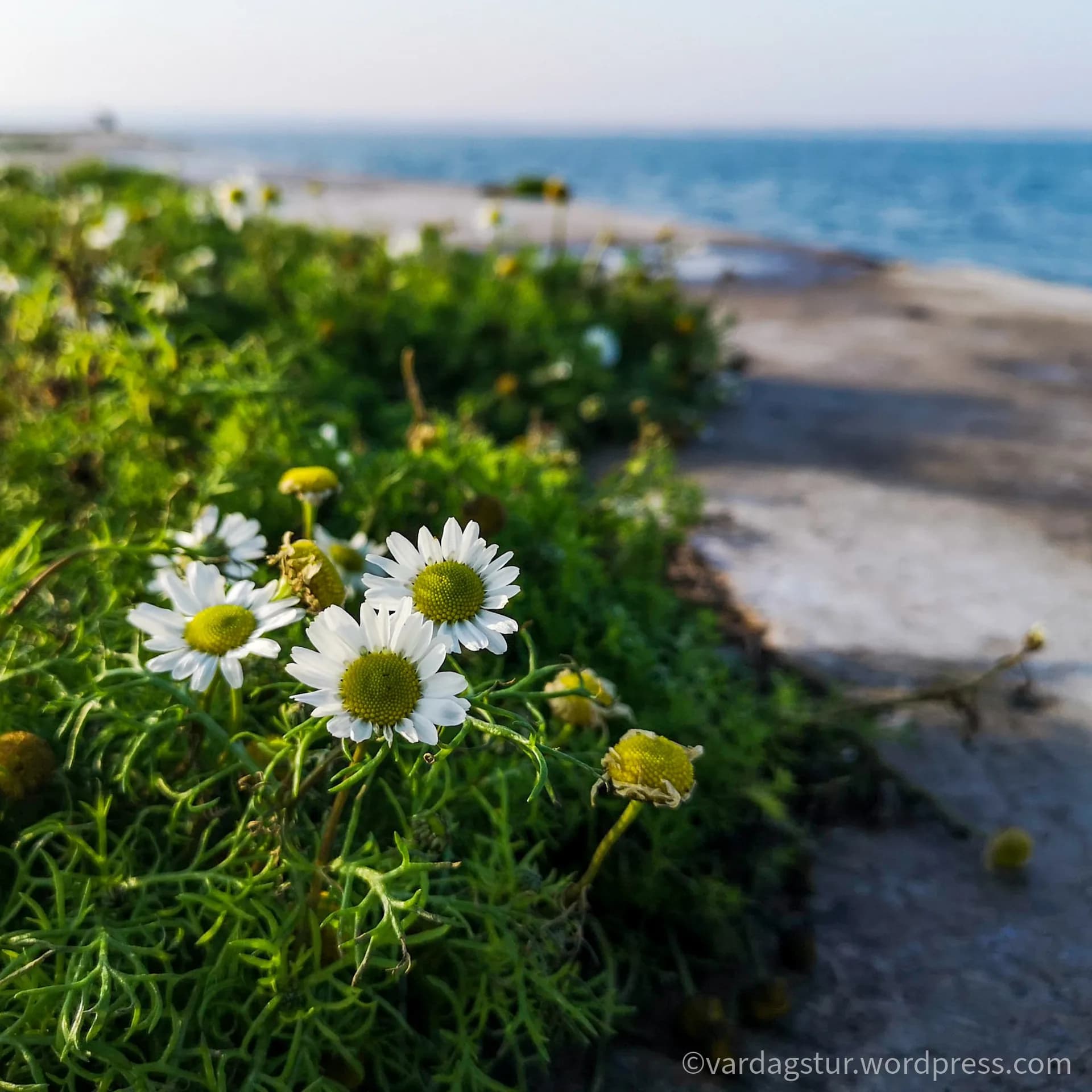 wp-1635851793321310434505256678459