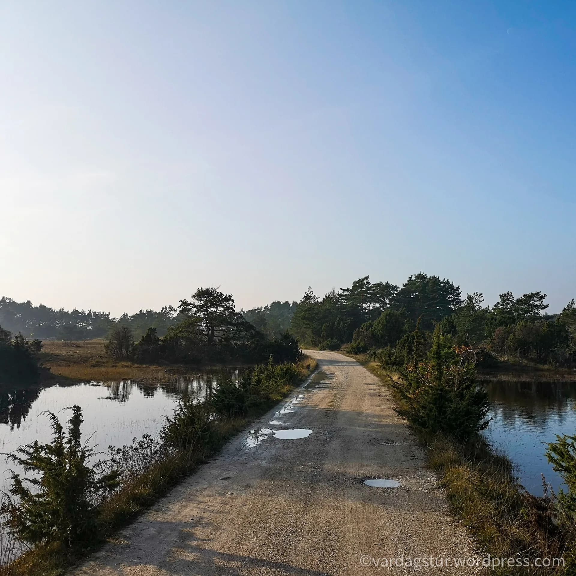 wp-16358517931103092364242348857390