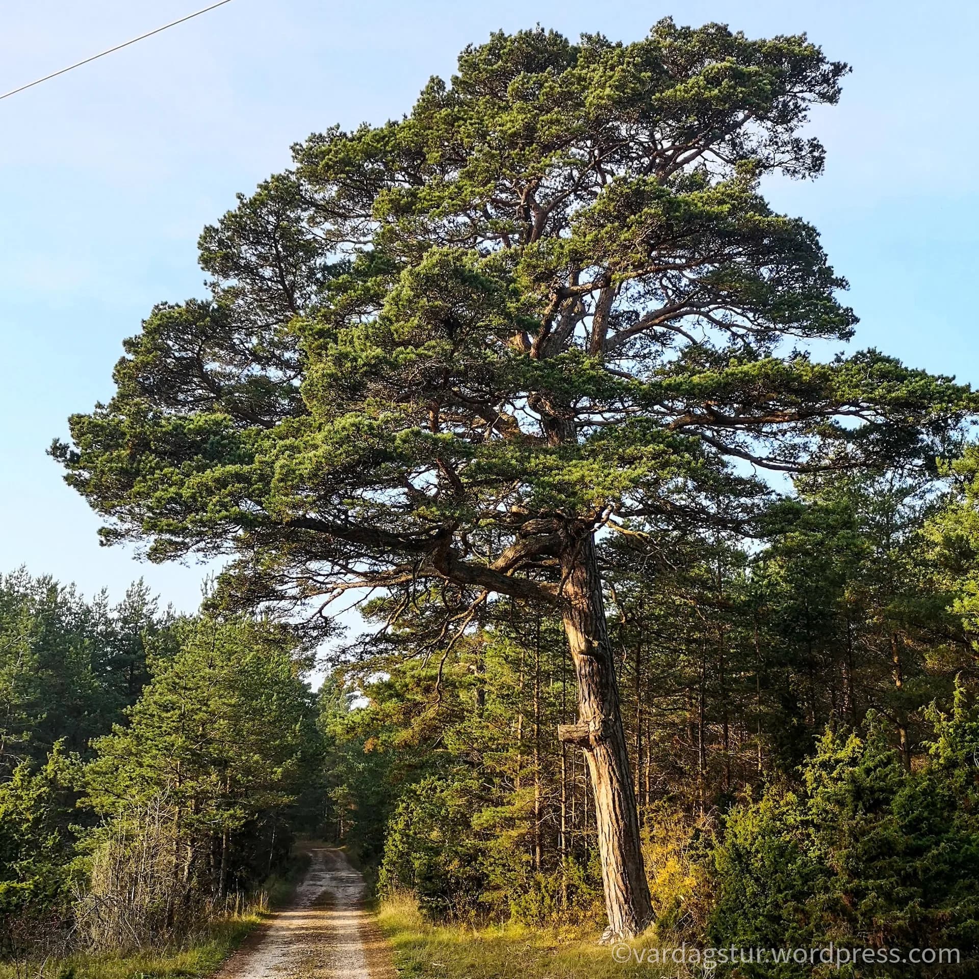 wp-16358517918249081068108162738960