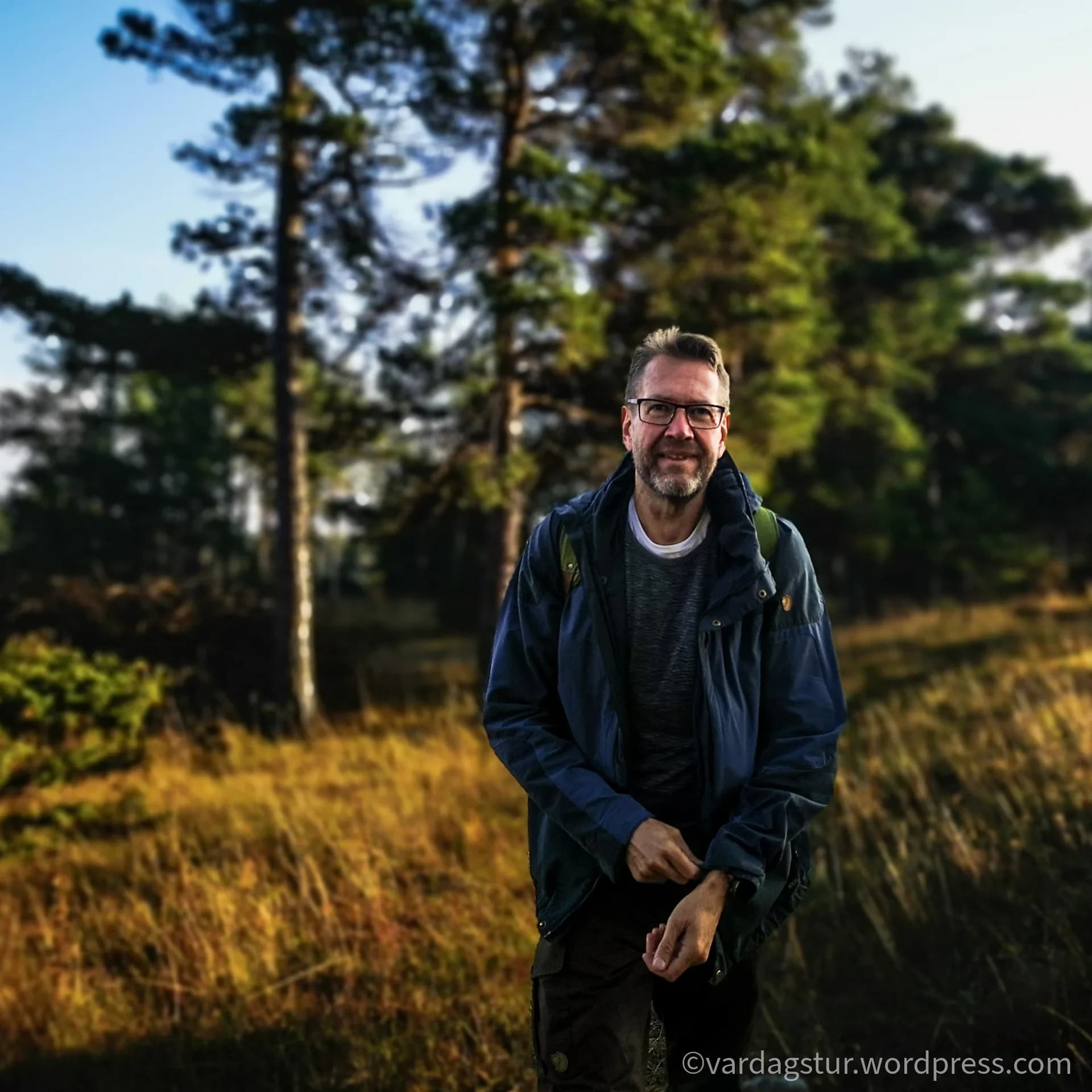 wp-16358522152397529917675146890469