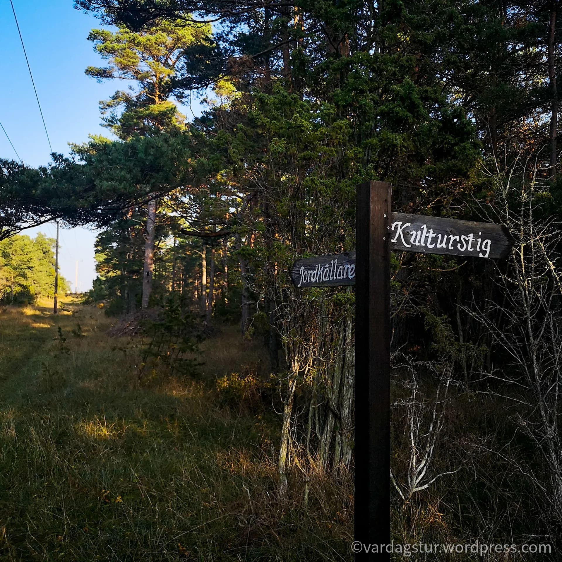 wp-16358522143587657980396409948387