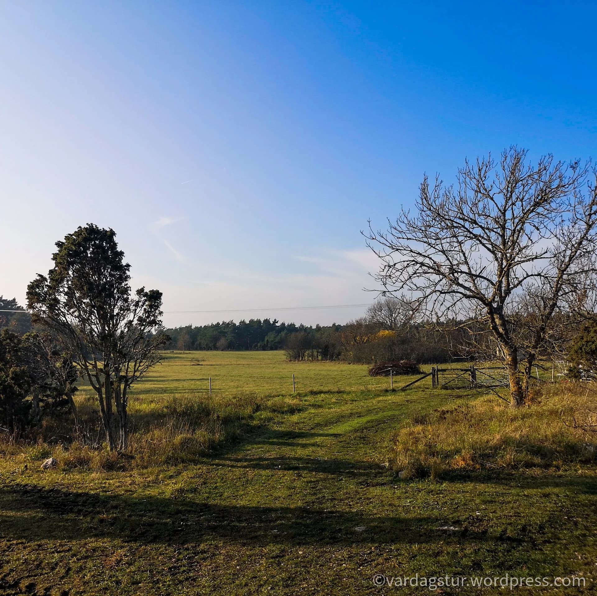 wp-16358522161574959533876435725698