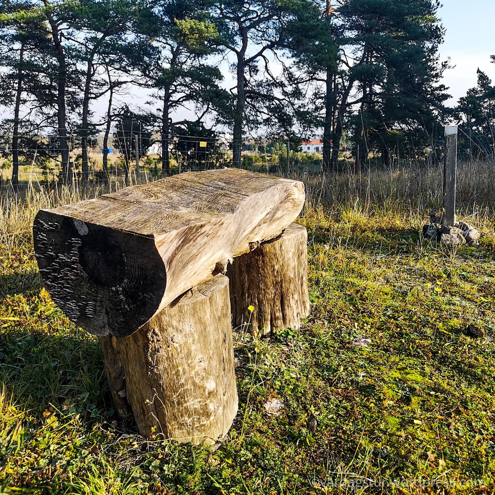 wp-16358522163993186460710988028809