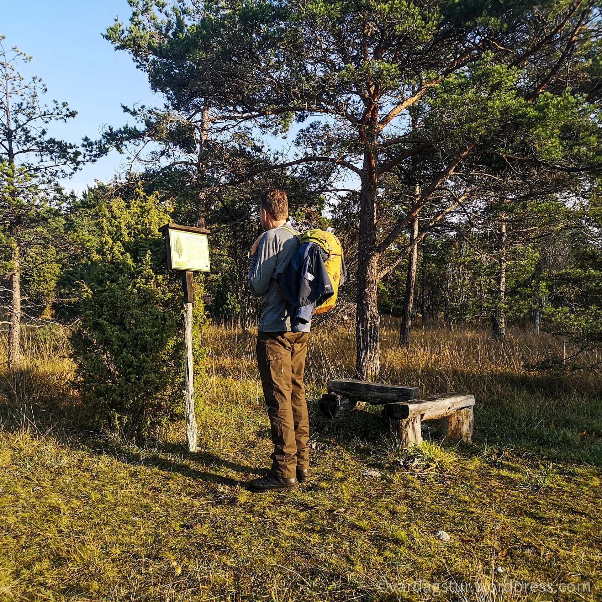 wp-16358522167268825210195899886962