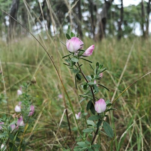 1-IMG_20200705_133235