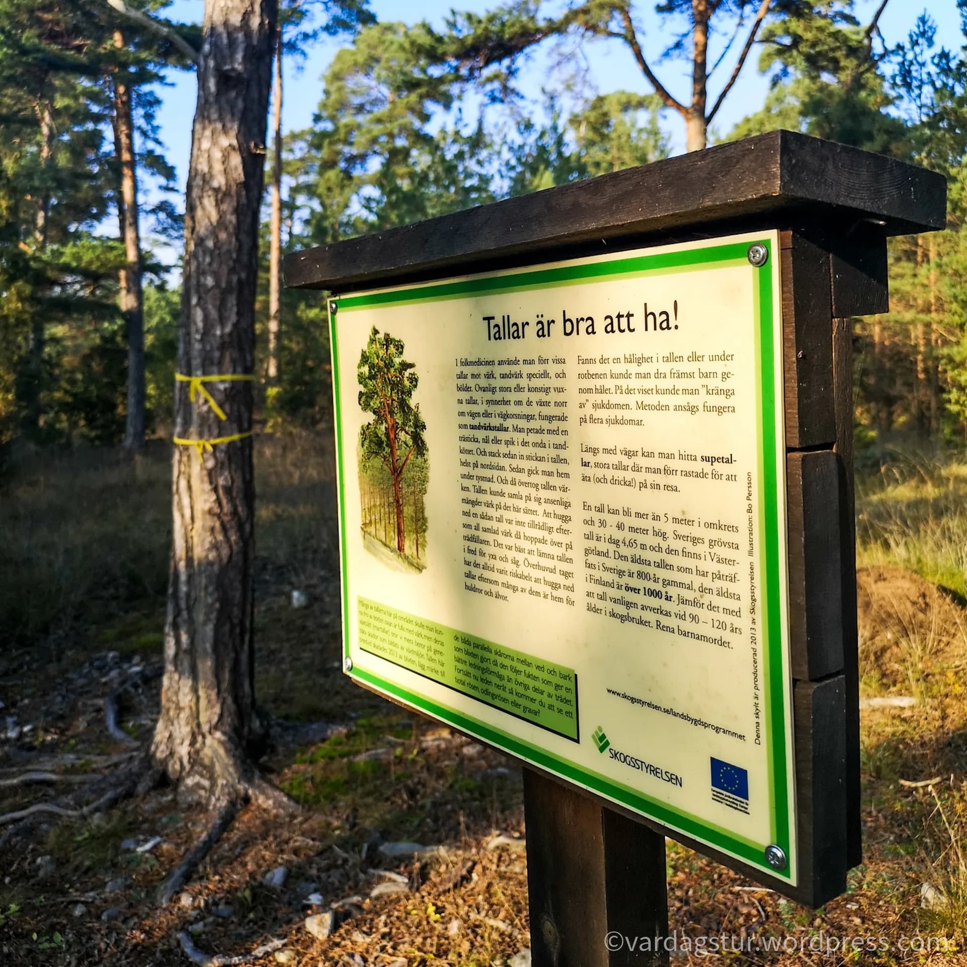 wp-16358522173991518310040860330667