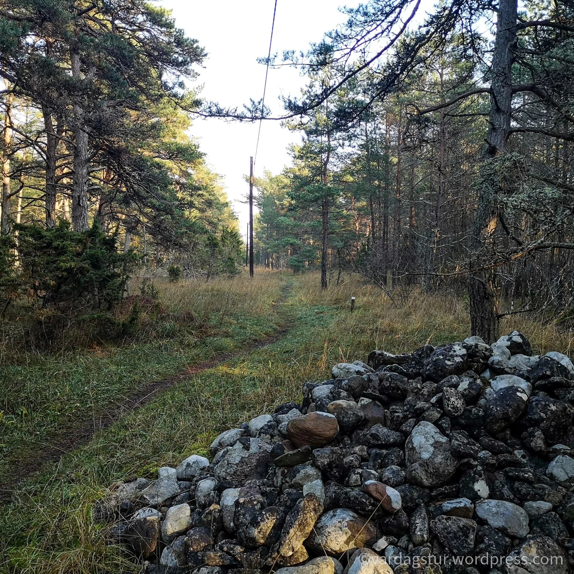 wp-16358522171244135208280552033495