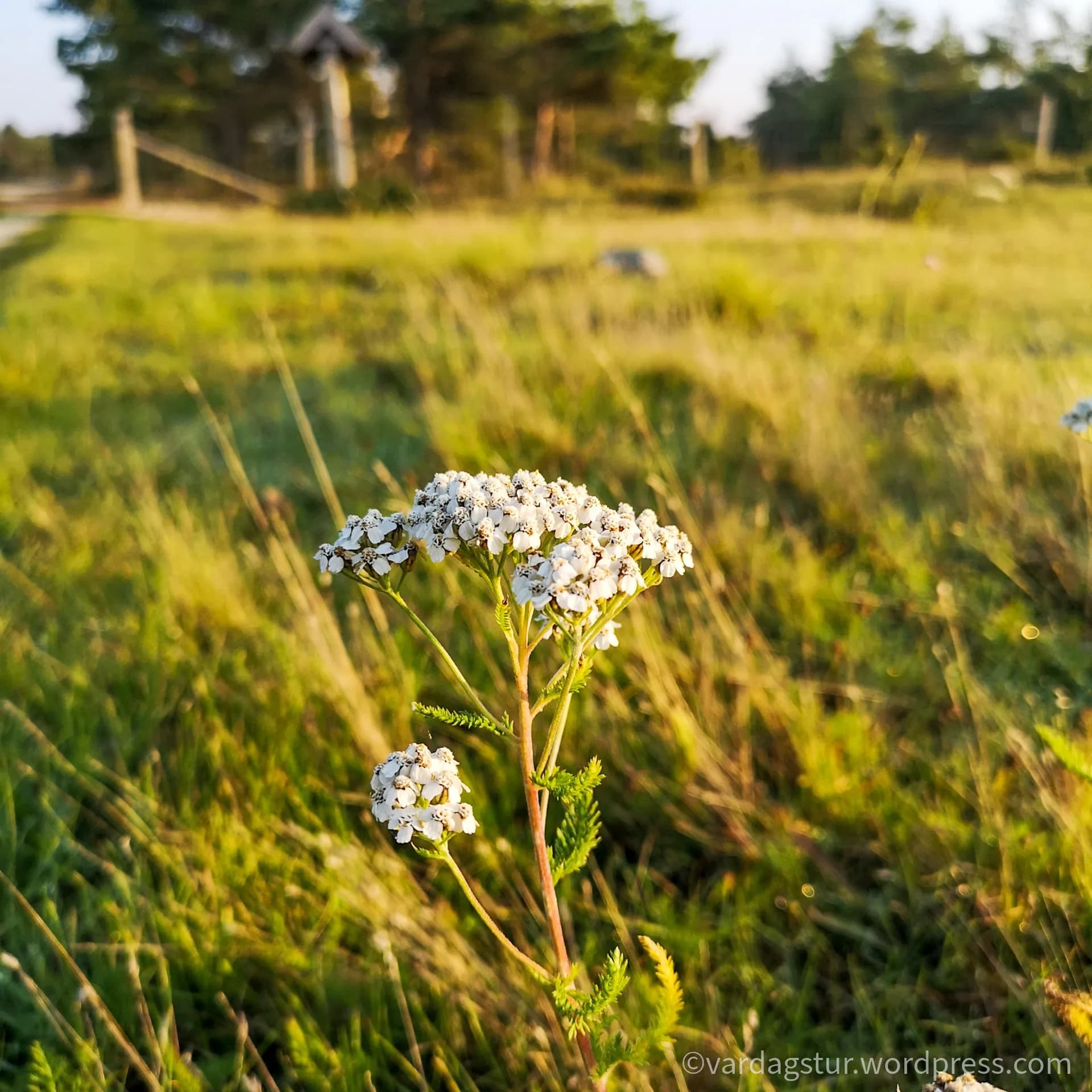 wp-16358535122222998839602665621021