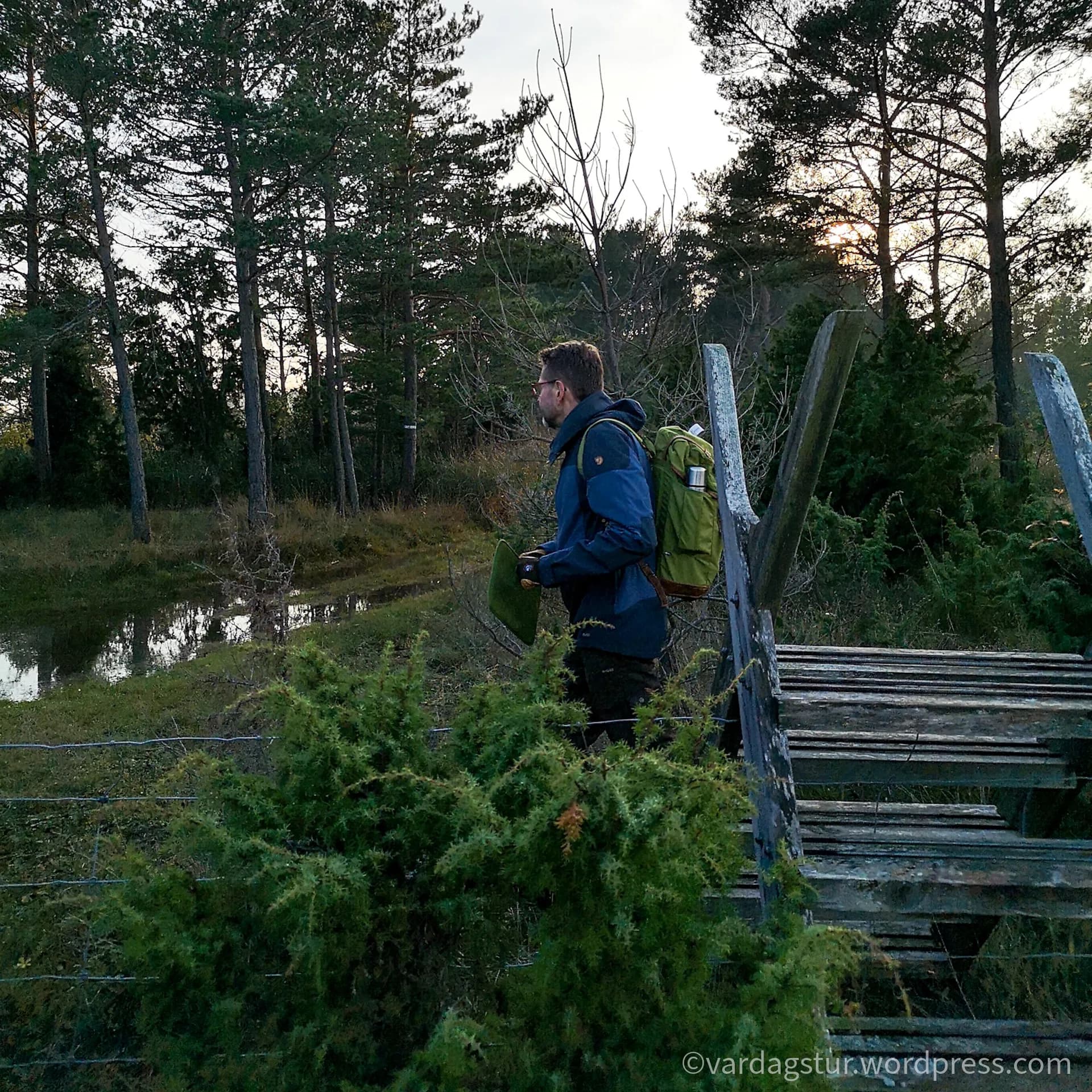 wp-16358535112564847303240700588992