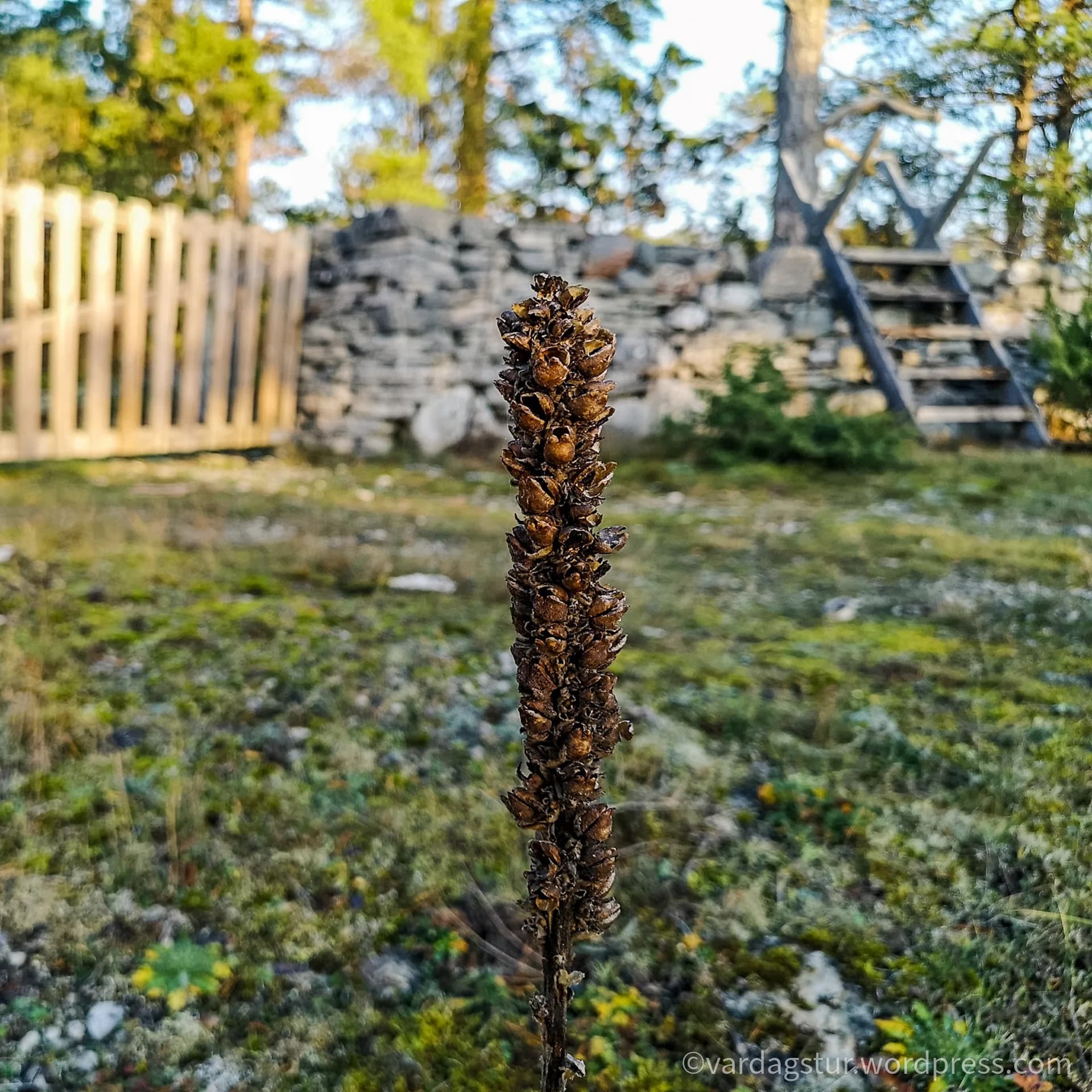 wp-16358535116281430200086642462793