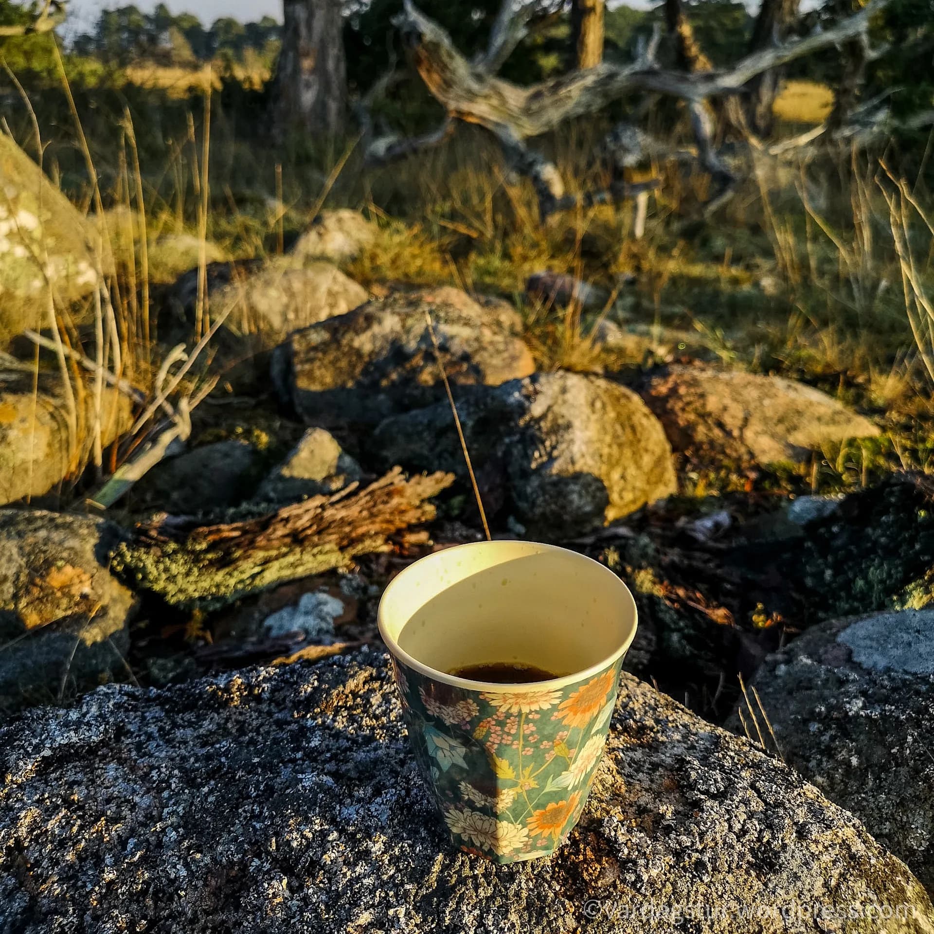 wp-16358535119118249262930339796387