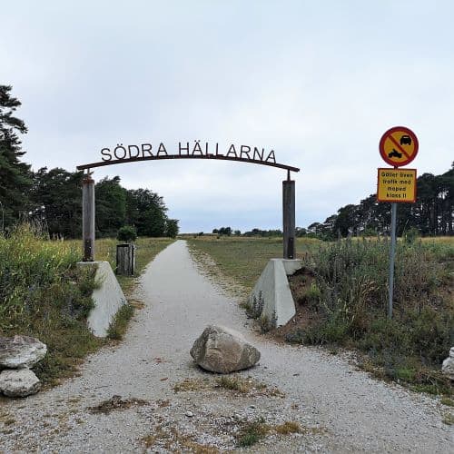 1-IMG_20200705_132804