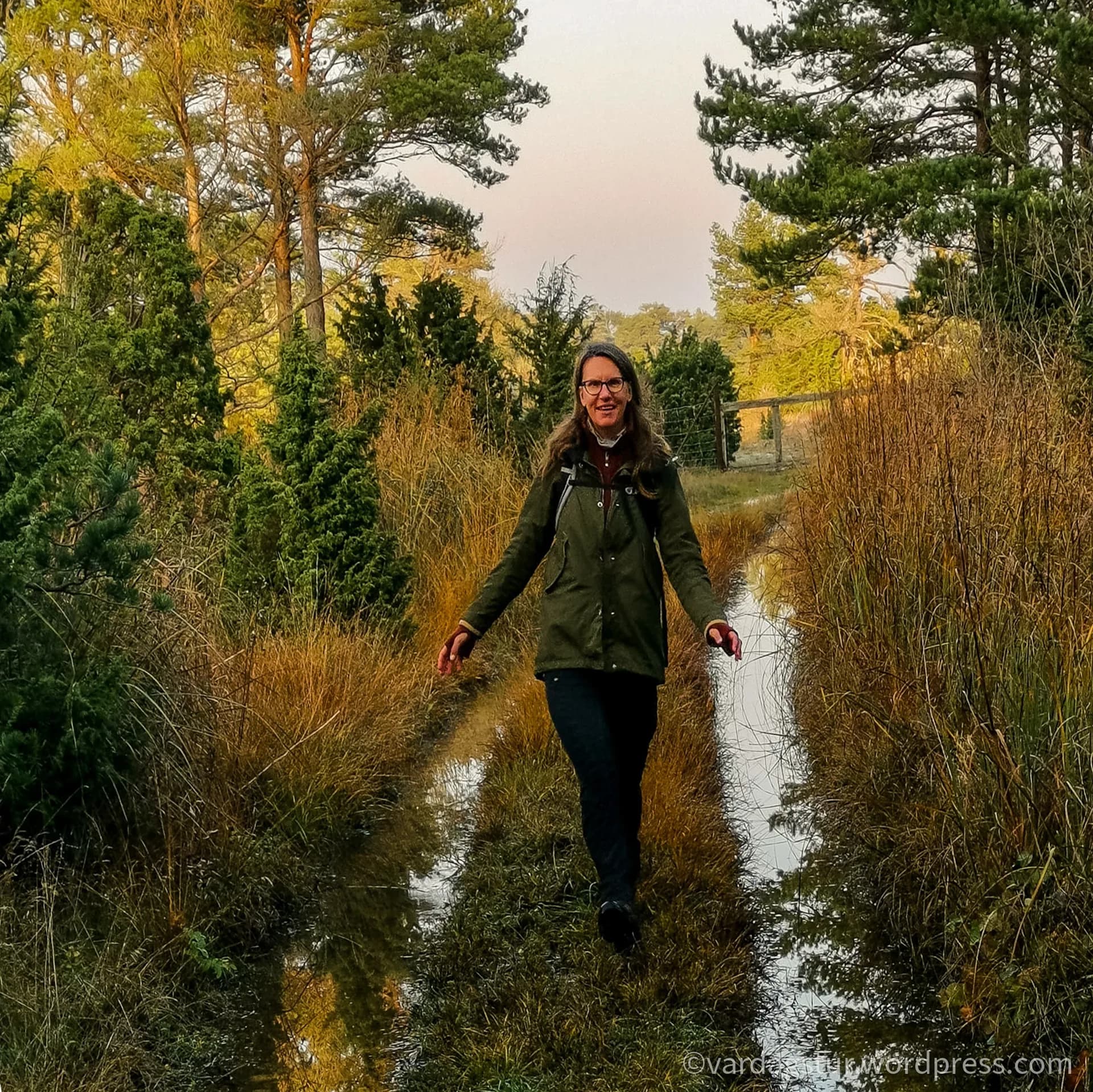 wp-16358535130751024186163459186734