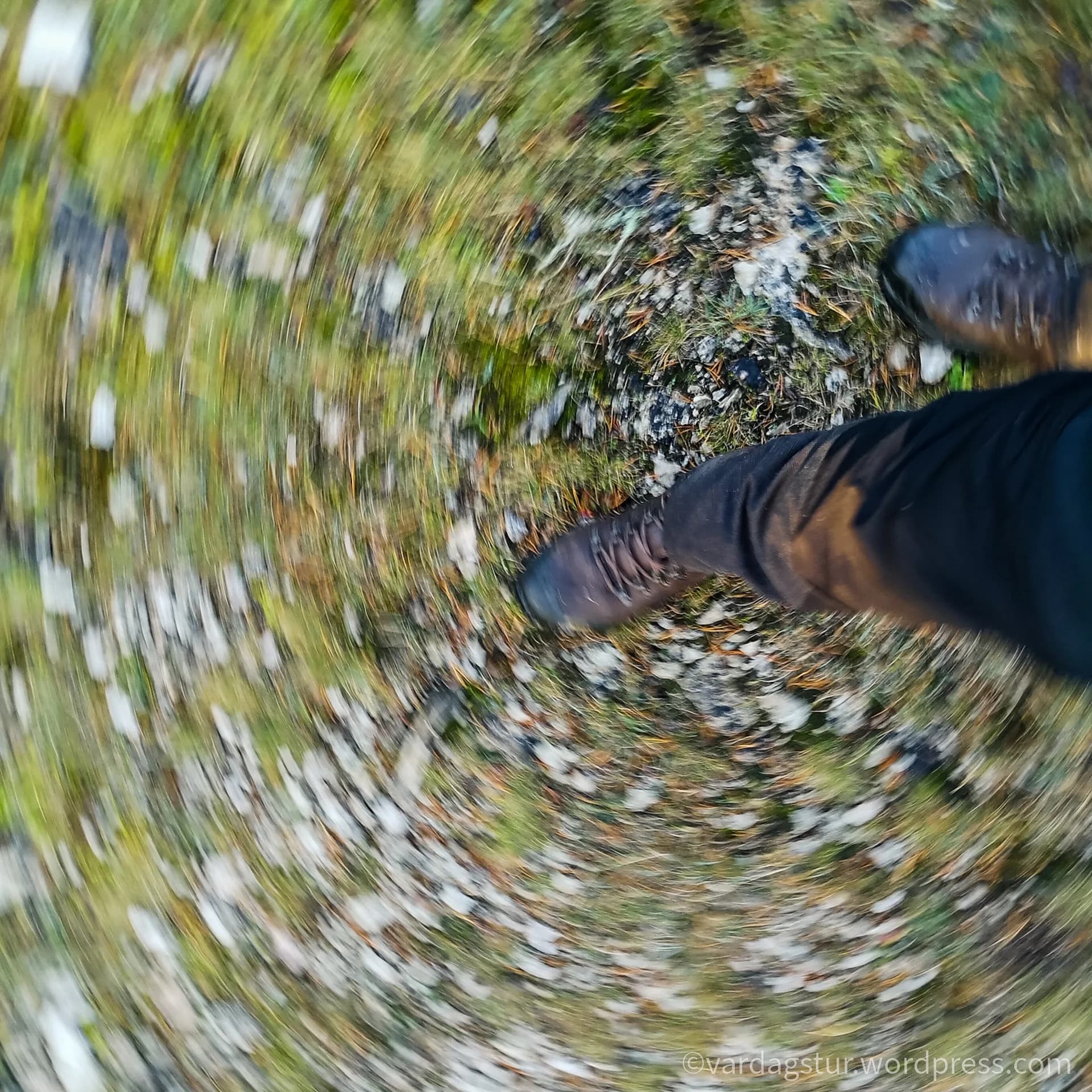 wp-16358535135686277301477590984384