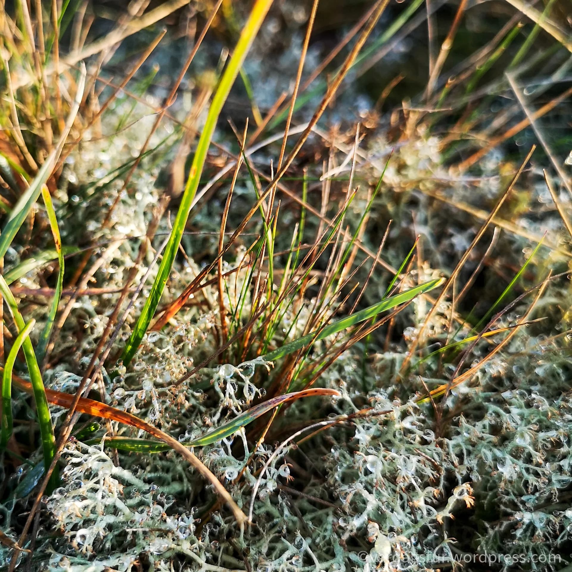 wp-16358535140072948174480931219878