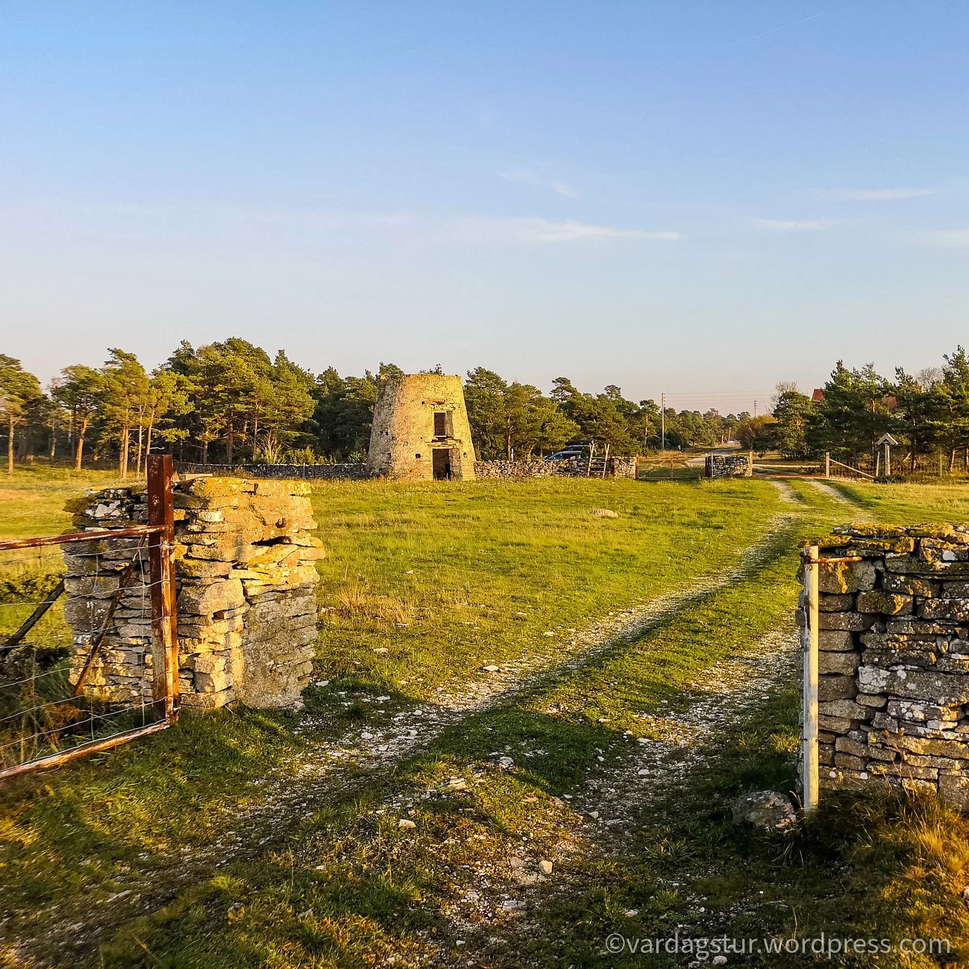 wp-1635853514235481045251704108915