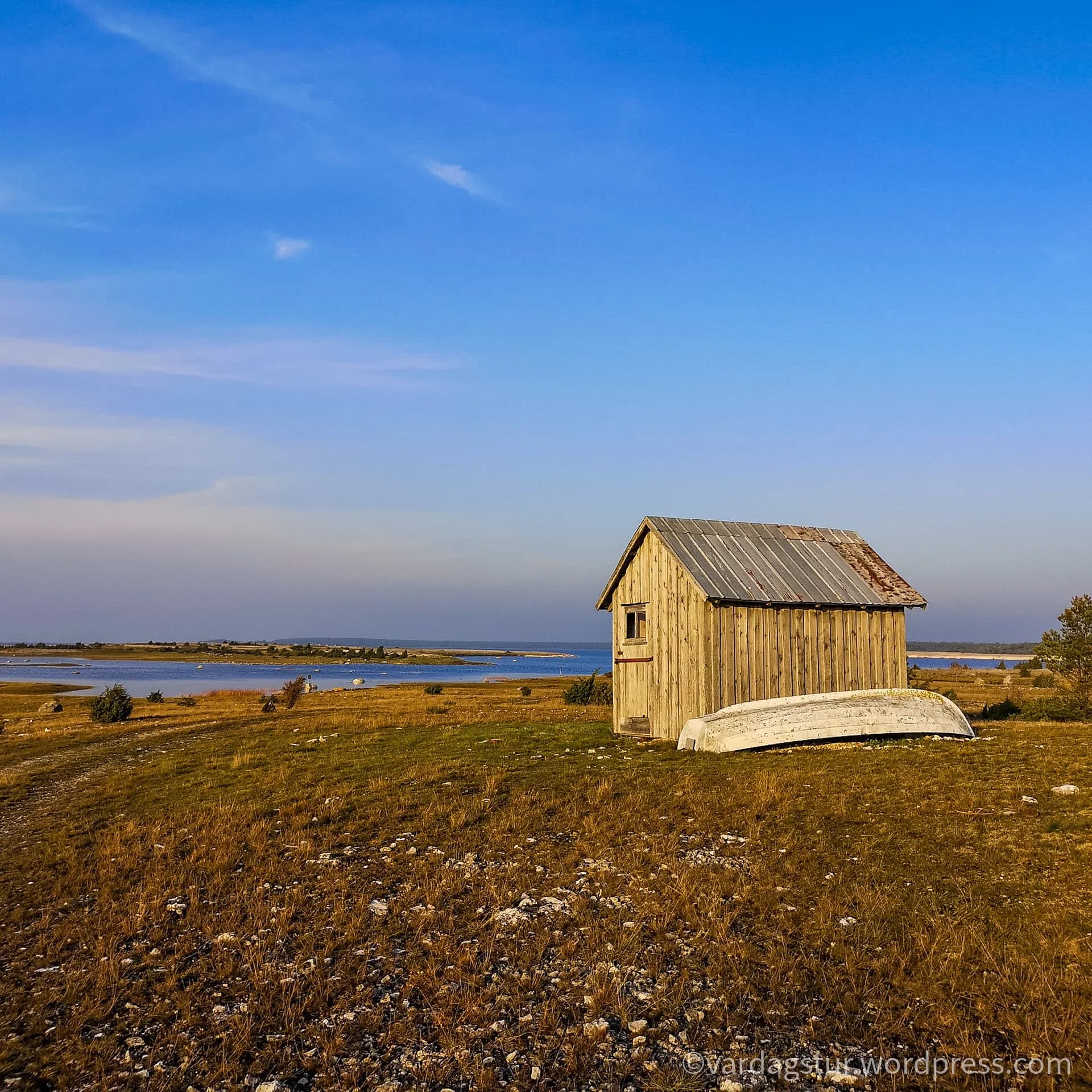 wp-16358535149108948366917839980221