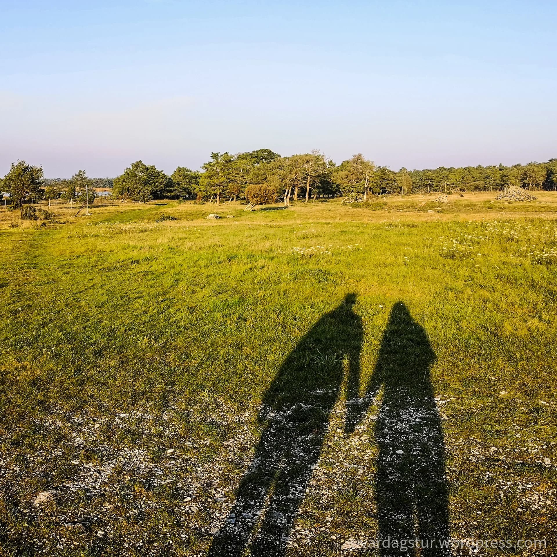 wp-16358535159482412504750781436829