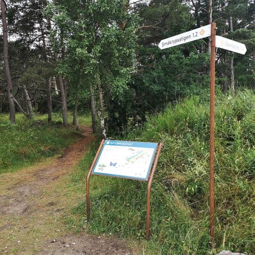 1-IMG_20200705_132756