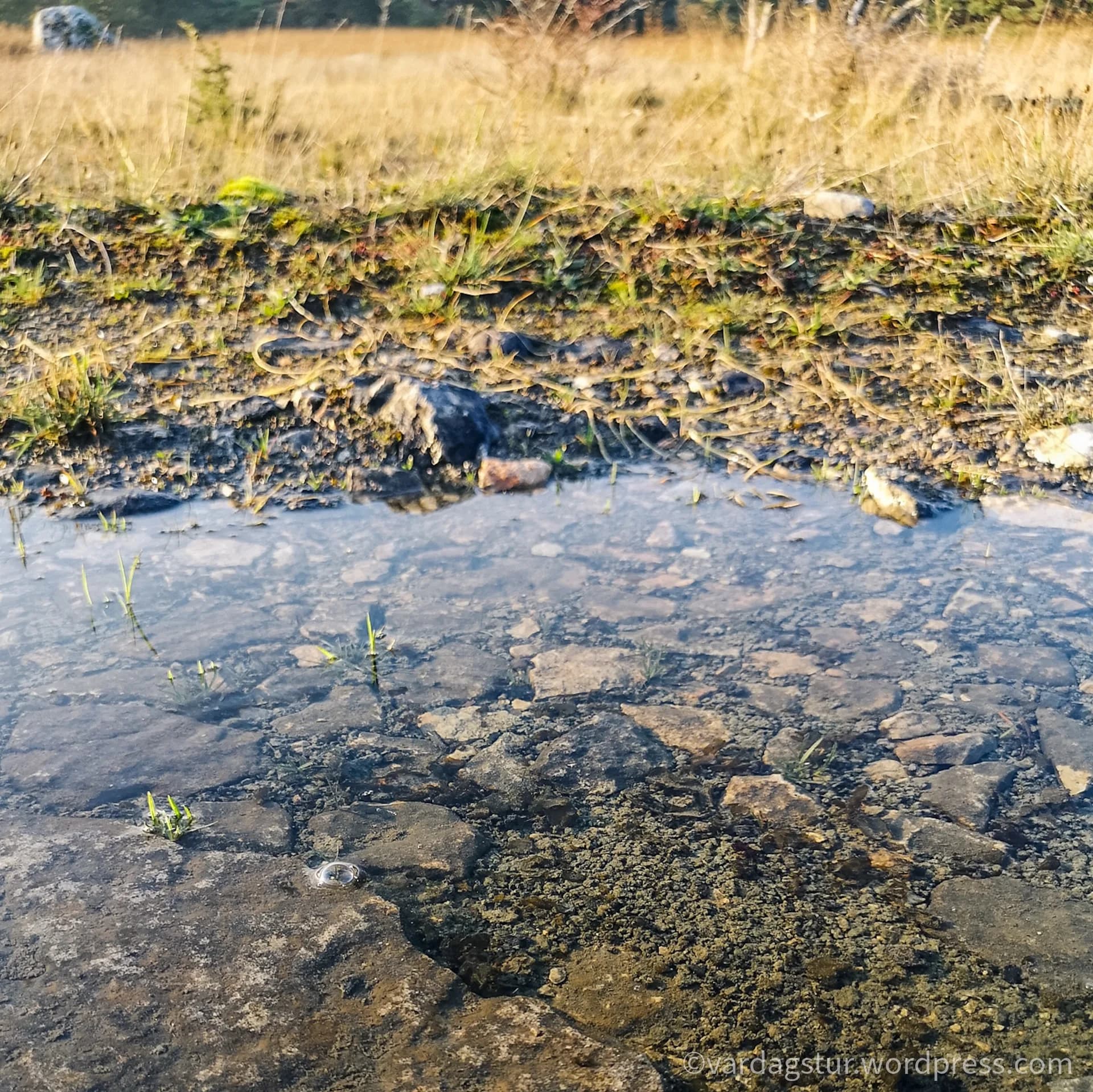 wp-16358535163427113411281064766999