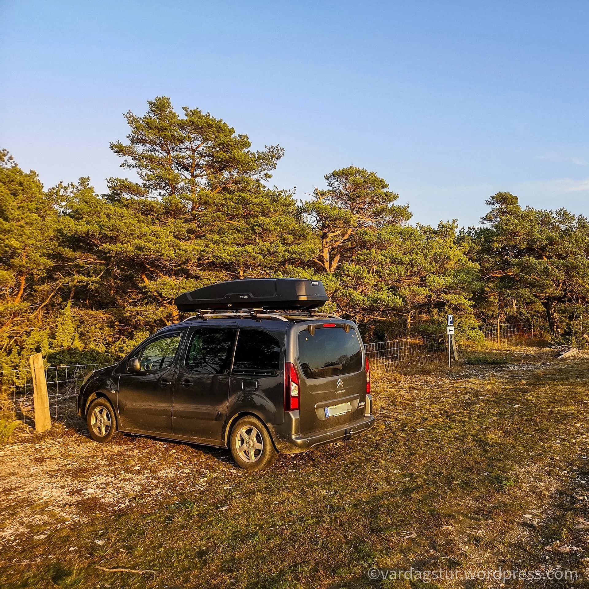 wp-16358535166078230089115133824122