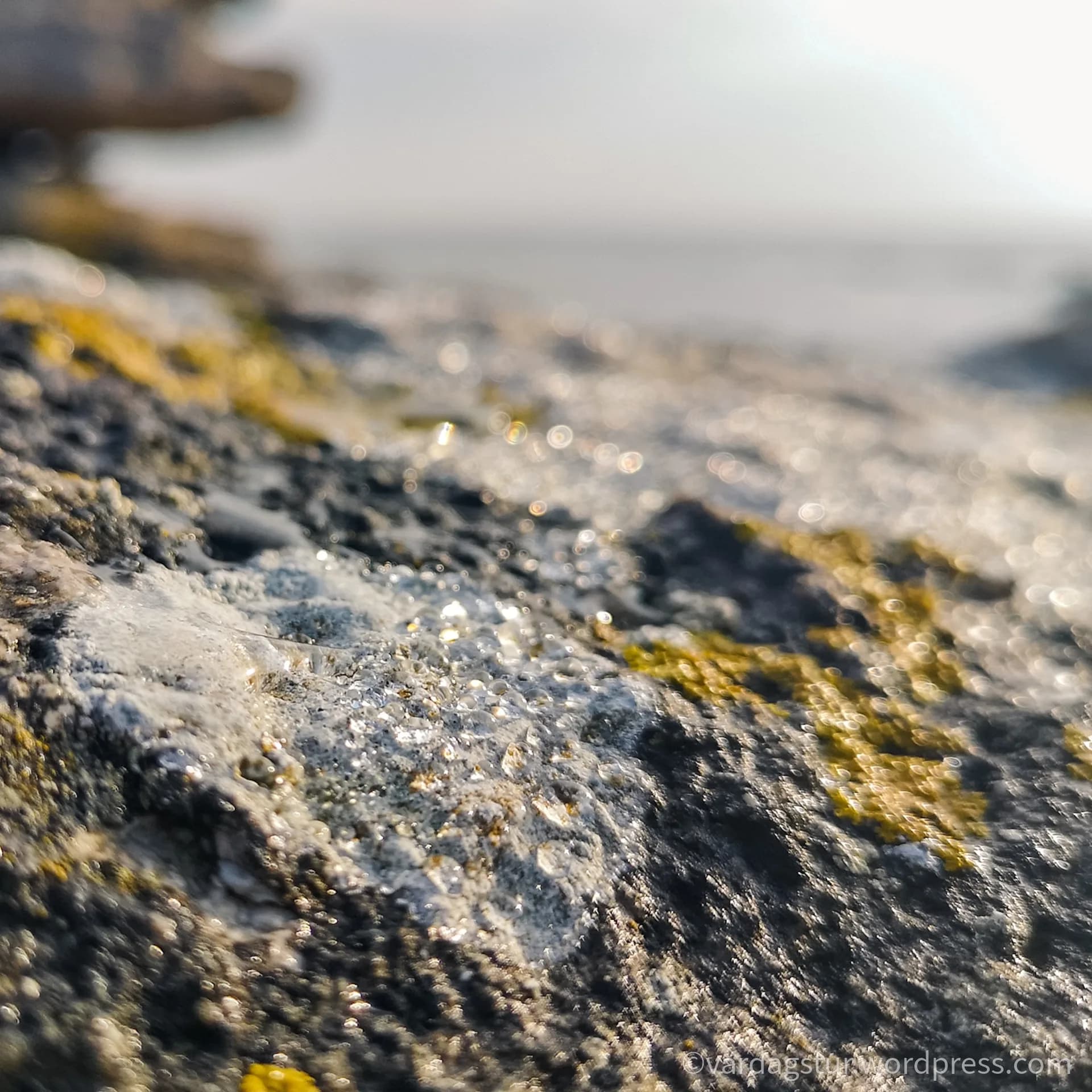 wp-16358604285722508783165444729300