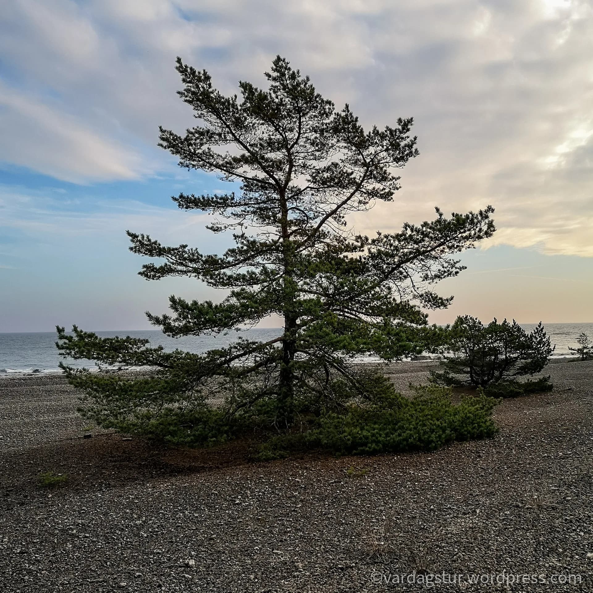 wp-16358604273321809265925481064053