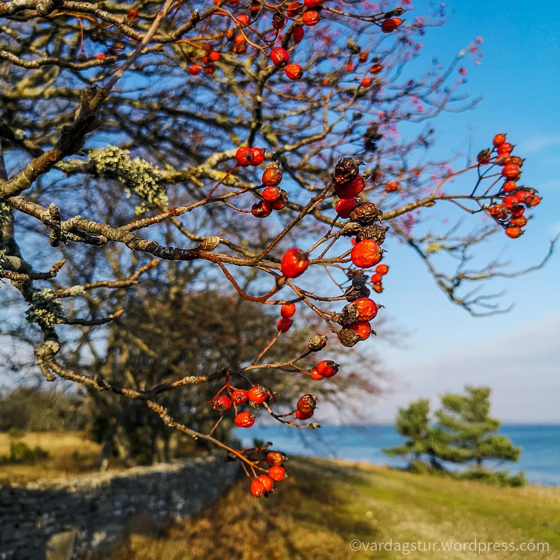 wp-16358604323196589479002026208074