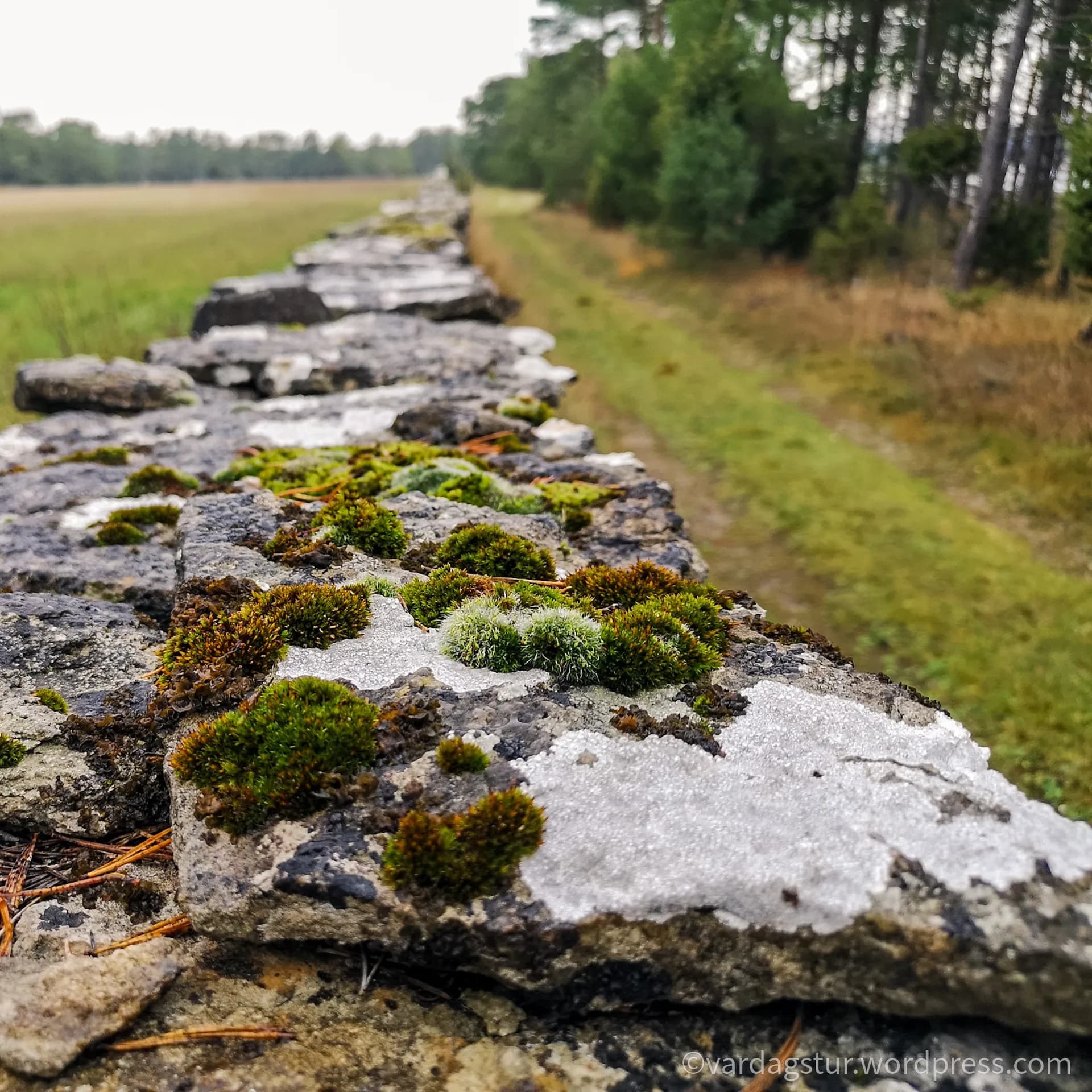 wp-16358604328222332180077752552874