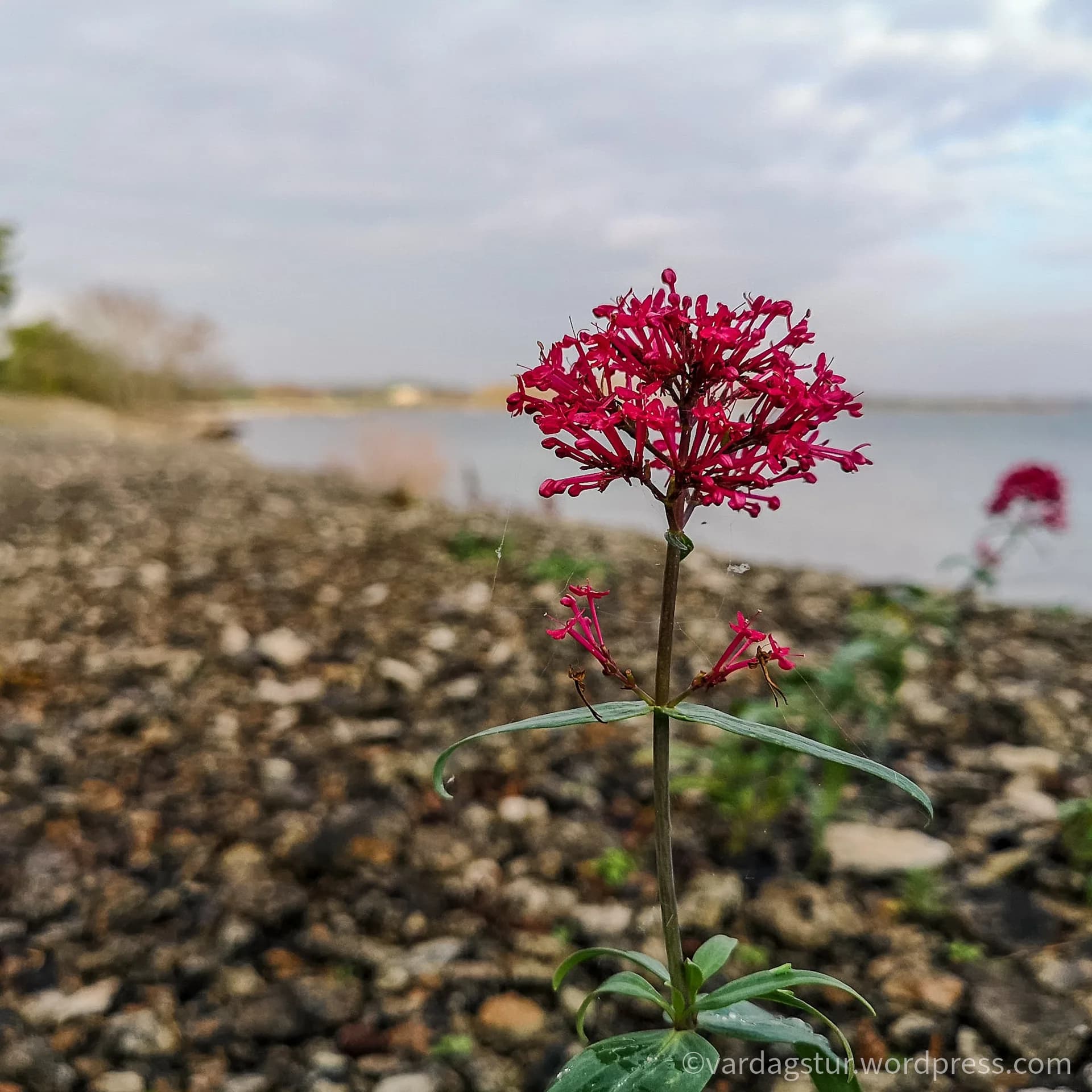 wp-16358604330296341772256886904579