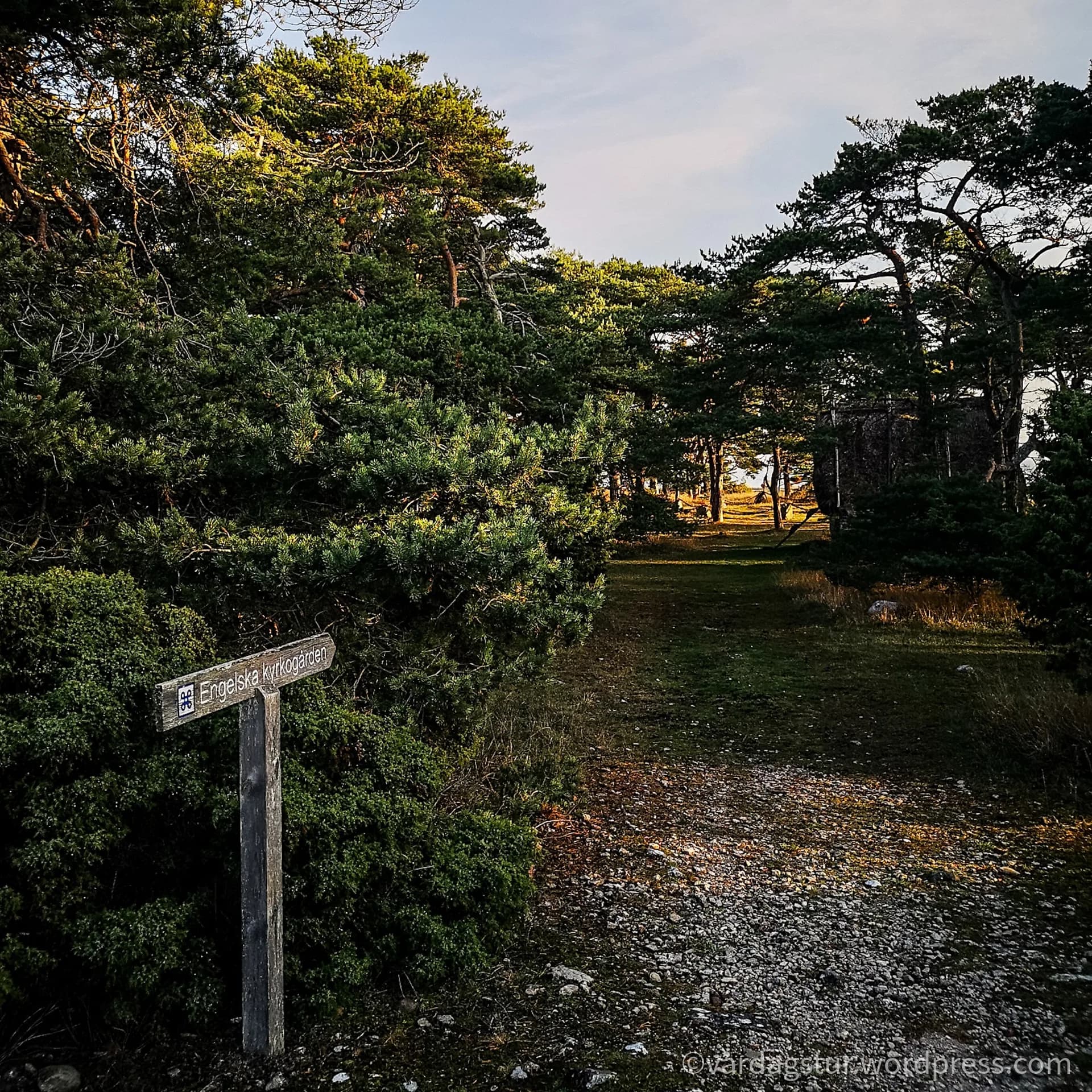 wp-1635860432547661818474722982366