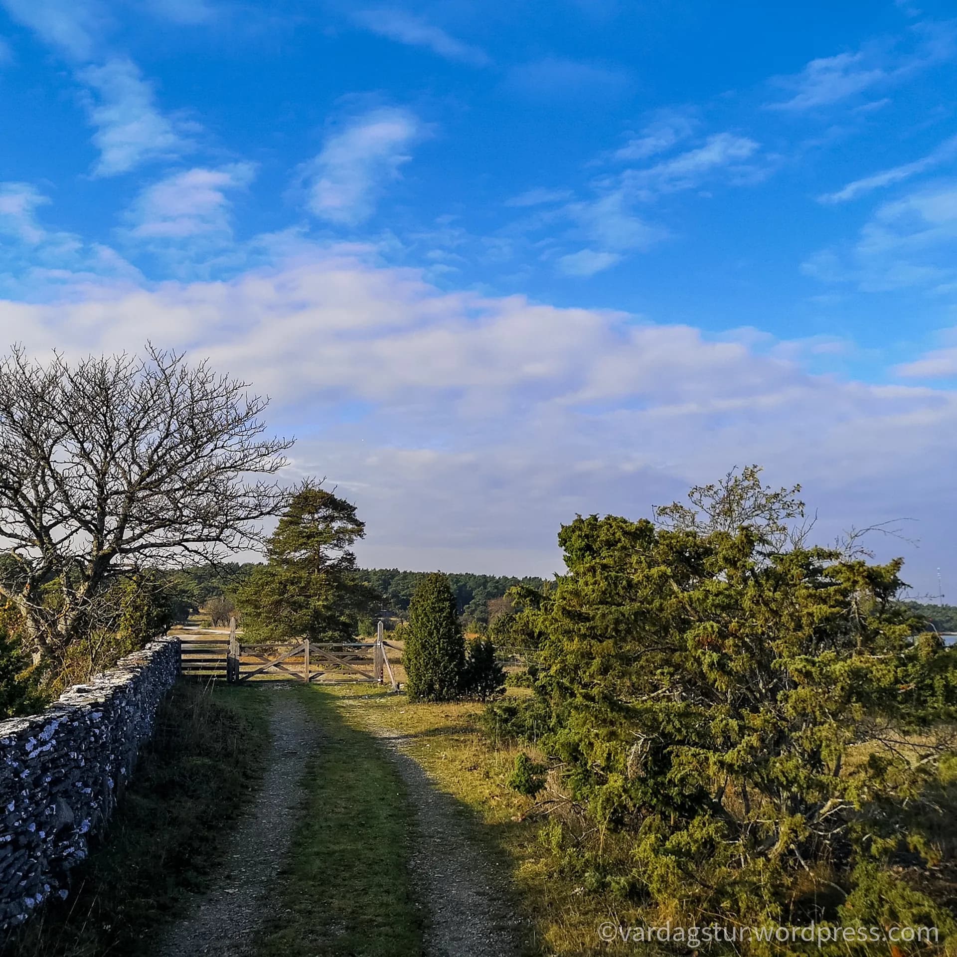 wp-1635860433495492563429252344800