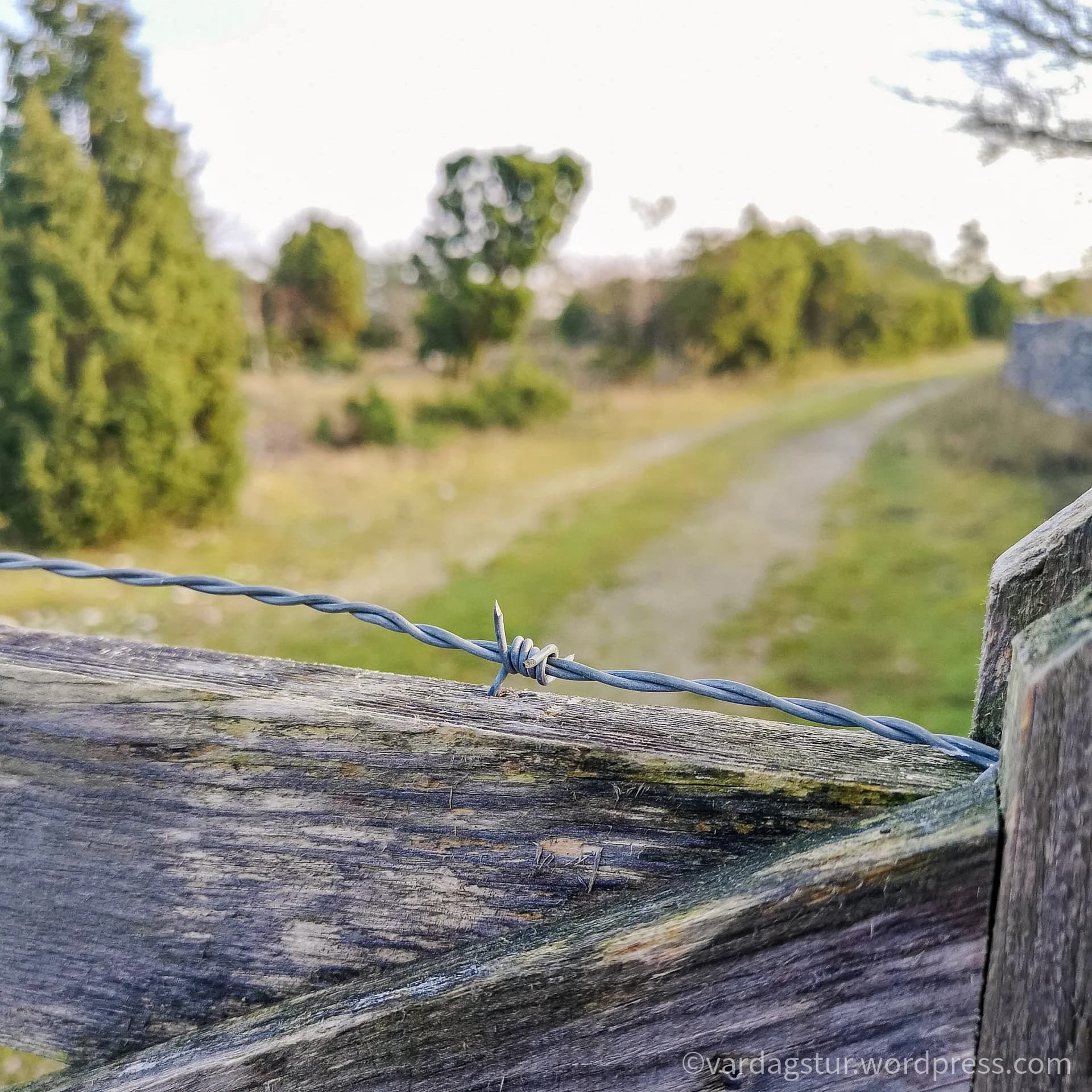 wp-16358604337687230659941302808448