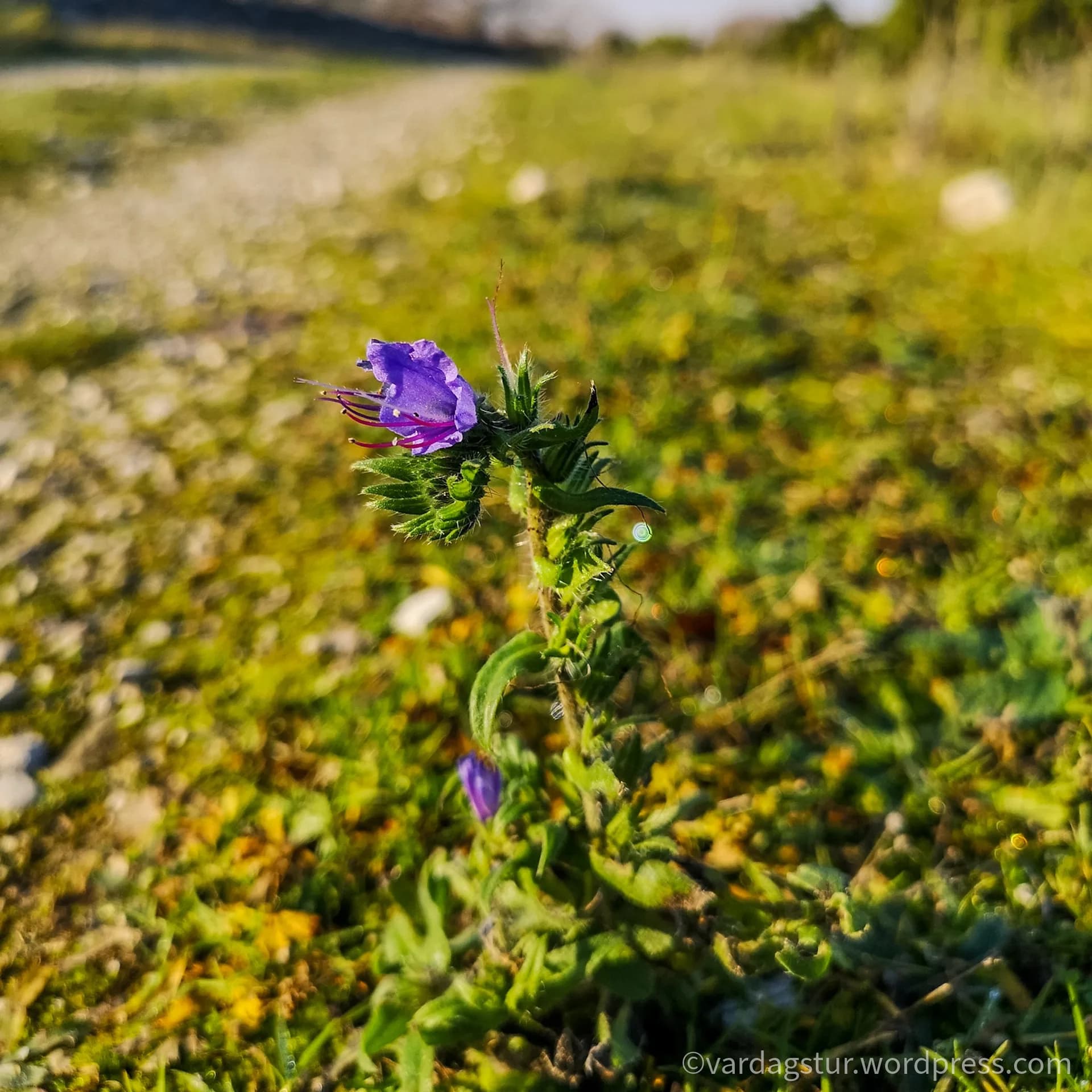 wp-16358604343892613306168257065704