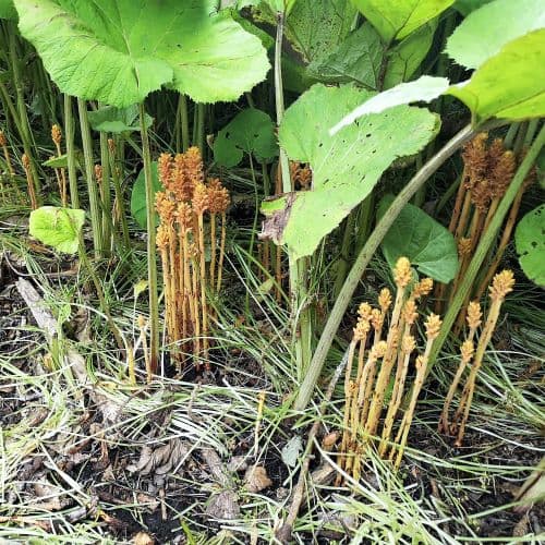 1-IMG_20200705_131934