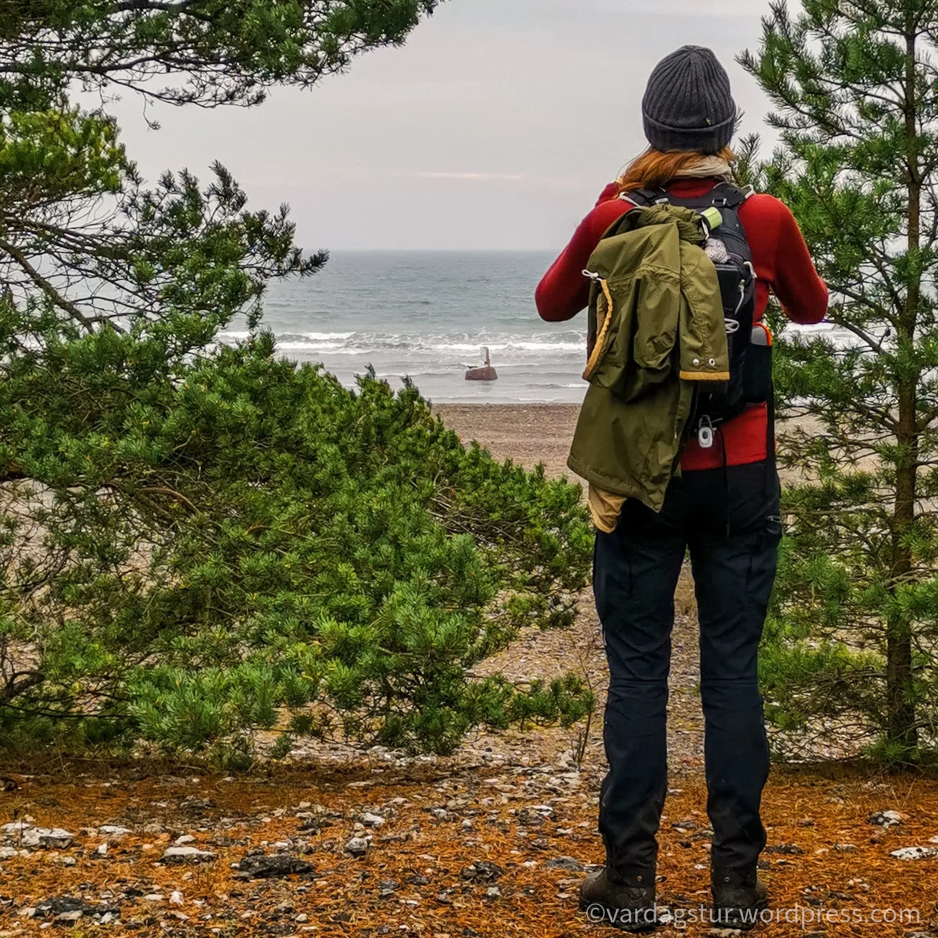 wp-1635860434995794208879819076427