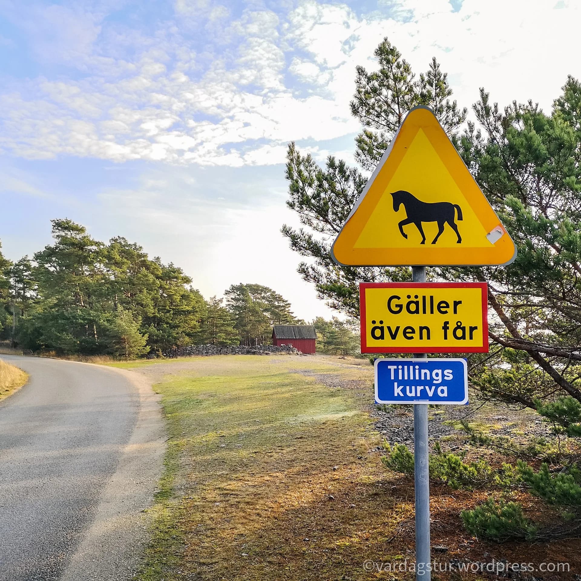 wp-16358604353431899249253511083347